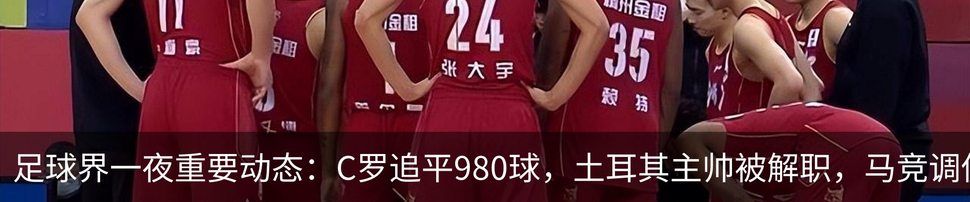 新闻动态